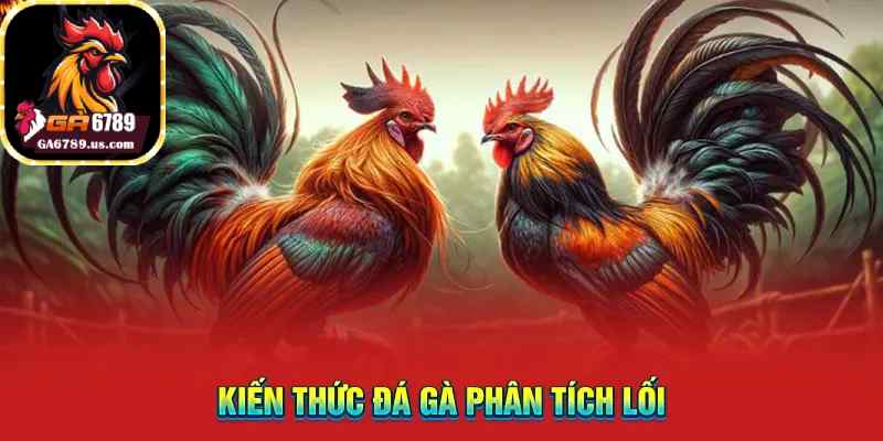 Kiến thức đá gà phân tích lối